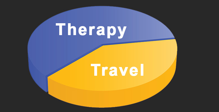 Pie chart showing therapy and travel proportion - travel proportion is almost as much as therapy!