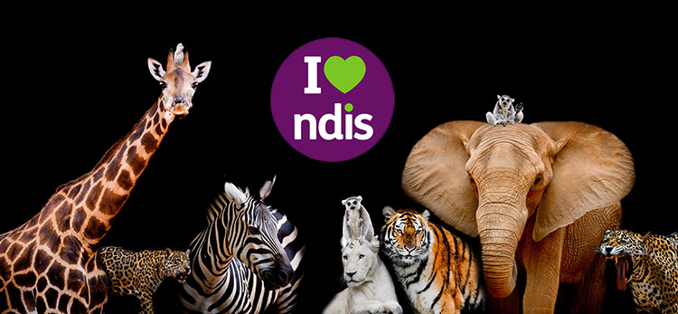 Zoo animals with the NDIS I love logo