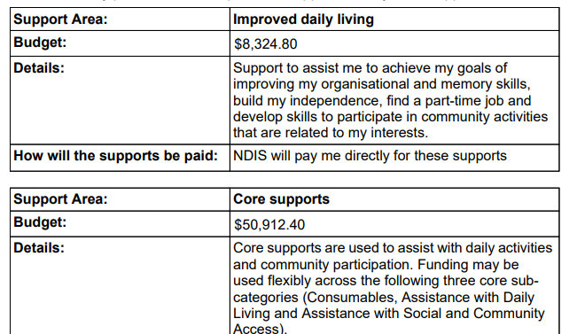 4-things-you-absolutely-have-to-do-when-you-receive-your-ndis-plan