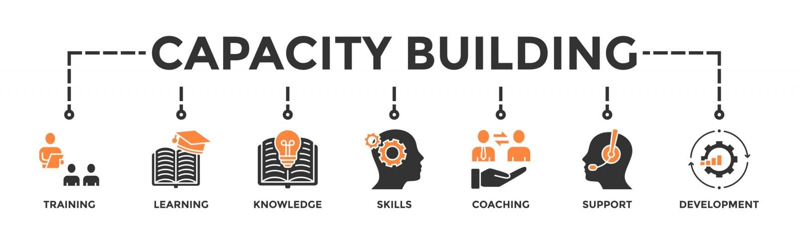 Intellectual Disability and Capacity Building