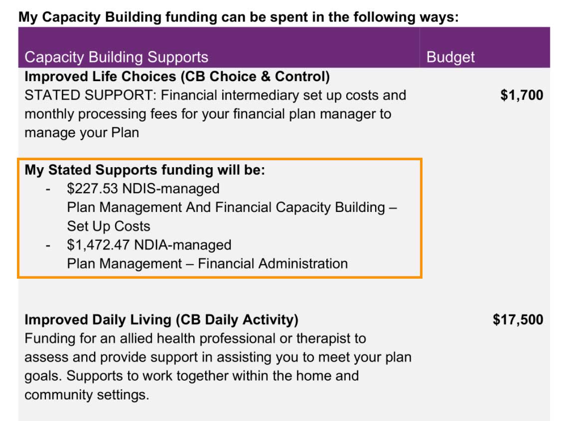 Snippet from an NDIS plan that shows Stated Support details