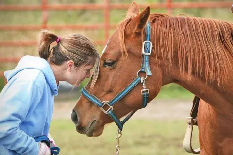 Is Equine Therapy allowed in the NDIS?