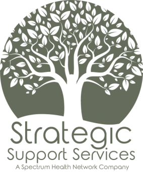Strategic Support Services
