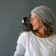 Penguin the rescued magpie sitting on the shoulder of Sam Bloom.