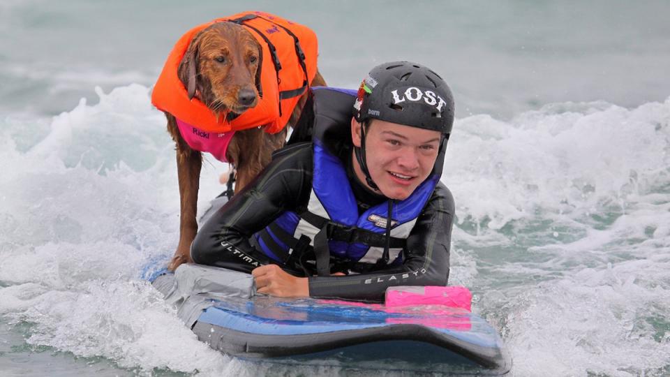 Ricochet the surfing dog balanced on a surfboard with young quadreplegic Patrick