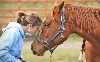 Is Equine Therapy allowed in the NDIS?